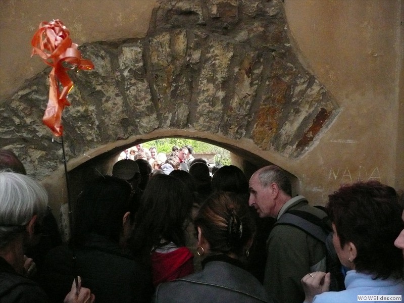 P1000500