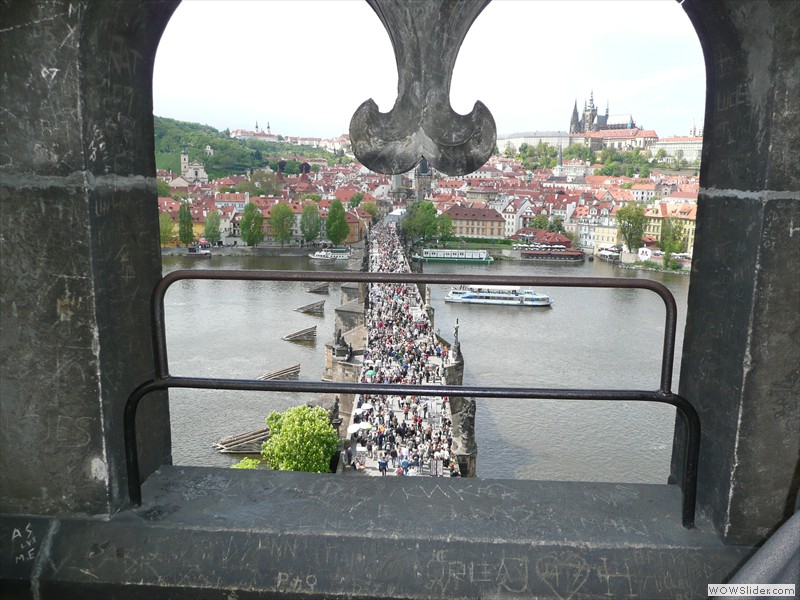 P1000511